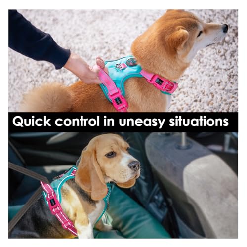 No Pull Dog Harness (Mint Green Base & Pink Straps / Small)