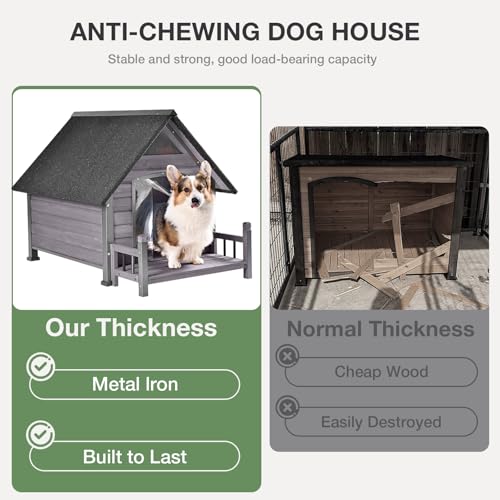 Dog House Outdoor Indoor All