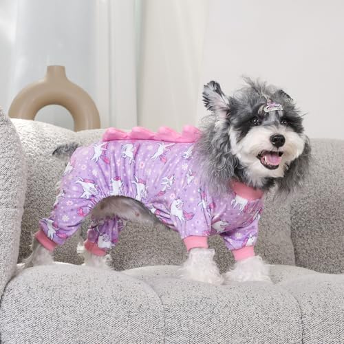 Dinosaur Costume Dog Pajamas (X-Small / Unicorn style#2)