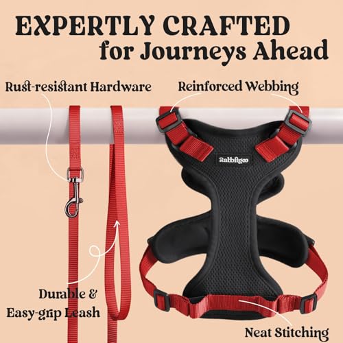 Cat Harness and Leash Set (Xxs / Black & Red)