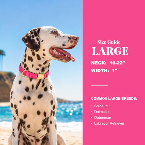 Soft Padded Dog Collar for Large Dogs (Neon Pink / L：Fit 16-22" Neck, Width 1")