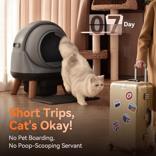 Self Cleaning Litter Box for Multiple Cats (Grey)