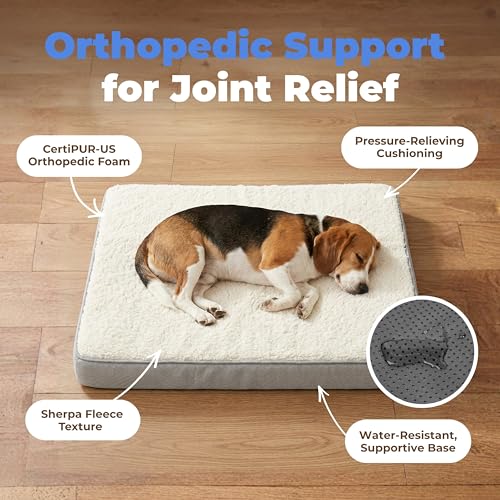 Orthopedic Dog Bed with Memory Foam (Gray / 35" x 22" x 4")
