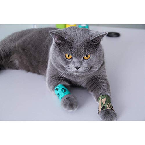 Vet Wrap Cohesive Bandages Bulk Self Adhesive Bandage Wrap Self Adherent Wrap Non (2 Inch Mixed Claw)