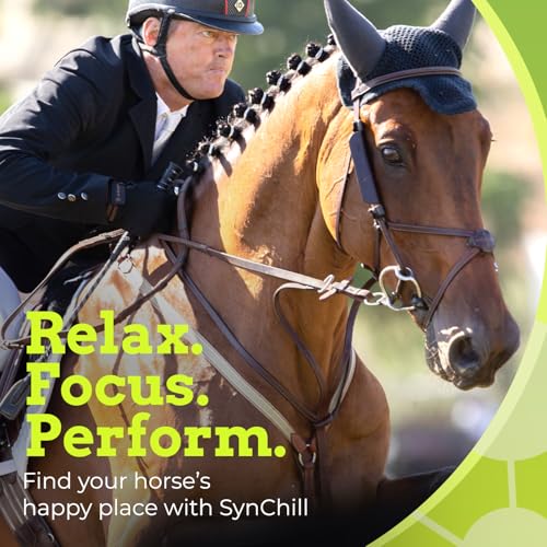 SynChill Horse Calming Supplement Gel (5-Pack)