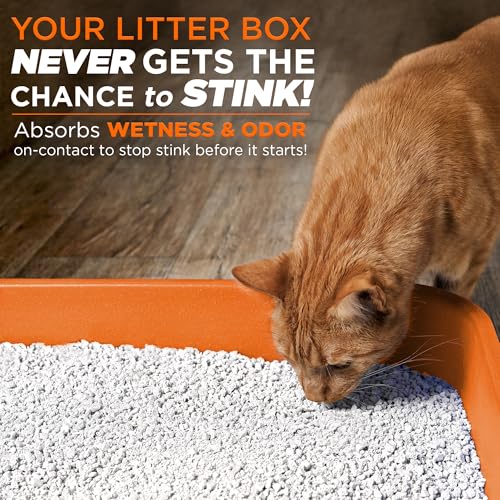 Litterizer Cat Litter Odor Eliminator Additive (16 Ounce (Pack of 1))