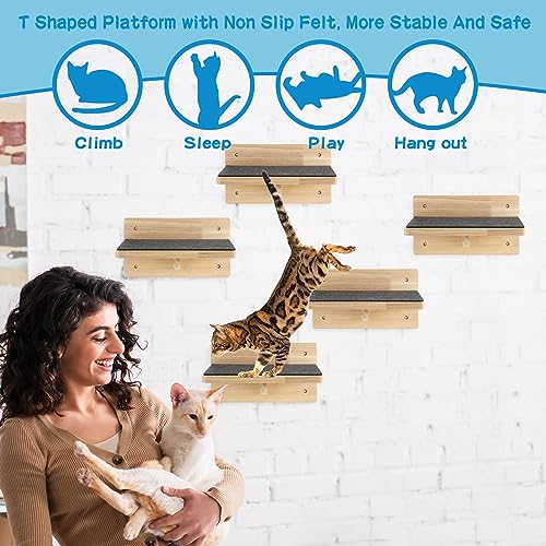 6 Set Cat Wall Shelves (Classic)