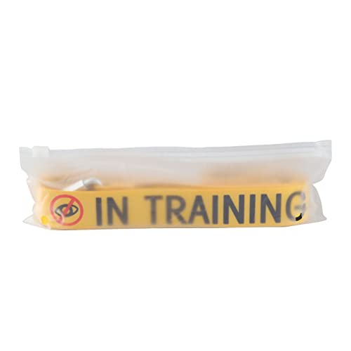 Funny Dog Leash for Training (In Training Ignore-YE)
