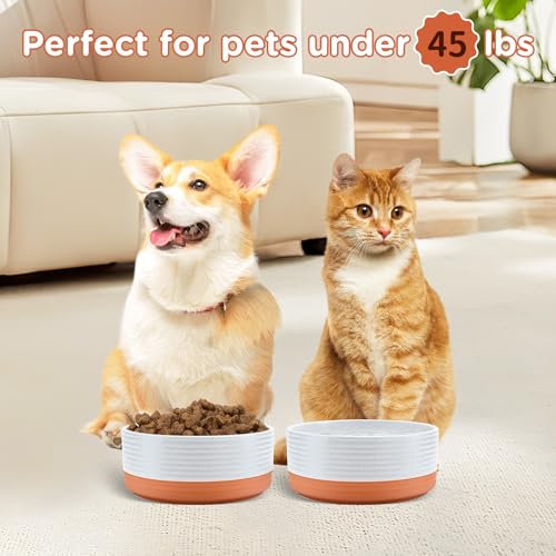 Ceramic Dog and Cat Bowls 2 Pack (6.1 in - 3.6 cups / Pattern White - Only Bowls*2)