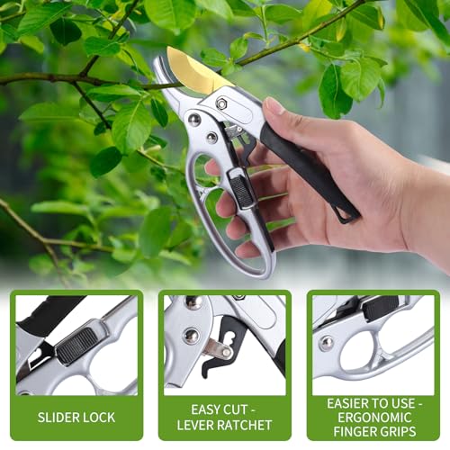 Titanium pruning shears (Titanium Pruners)