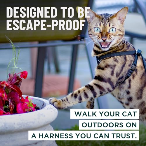 Houdini™ Escape Proof Kitten Harness + Leash (Multicolor / S)