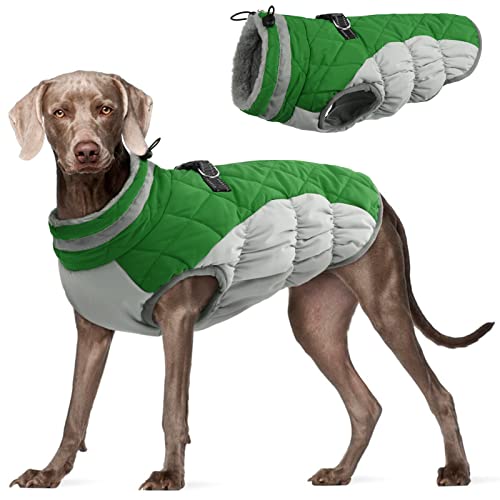 Dog Jacket for Large Dogs Warm Dog Jackets with Harness Built in (Green / XXXL(chest:43in))