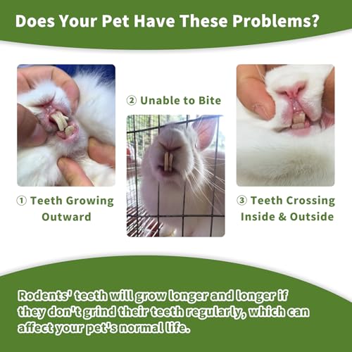 Rabbit Chew Toys