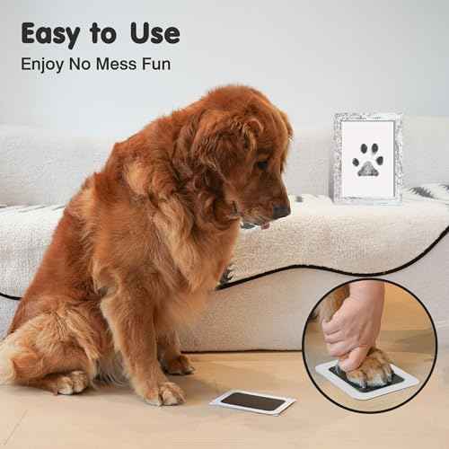 Inkless Paw Print Kit for Dogs (Black/Gold Pad,Vintage White Wood Frame / 4-Pack,Large)