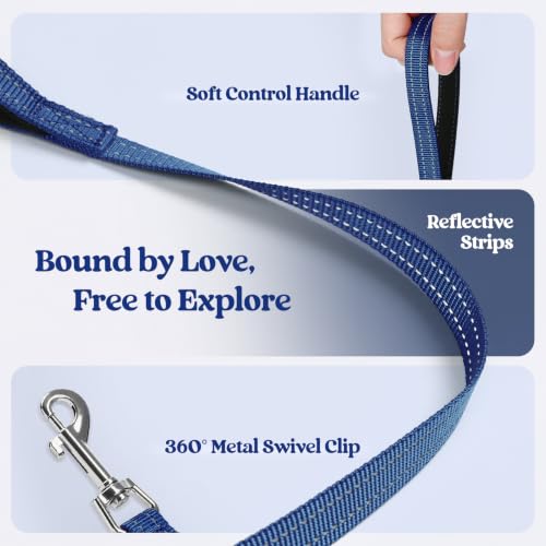Dog Harness Small Sized and Leash Set (Navy Space Pups / S (chest: 15.1 - 16.5"))