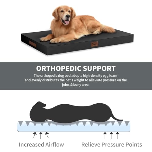 Outdoor Waterproof Orthopedic Dog Bed for Large Dogs (Black / 36.0"L x 27.0"W x 3.0"Th)