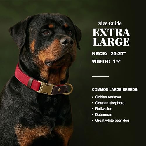 PU Leather Dog Collar for Large Dogs (Red / XL: Neck 20-27", Width 1¼")