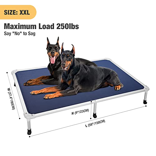Chew Proof Elevated Dog Bed (Blue / 59.0"L x 37.5"W x 9.0"Th)