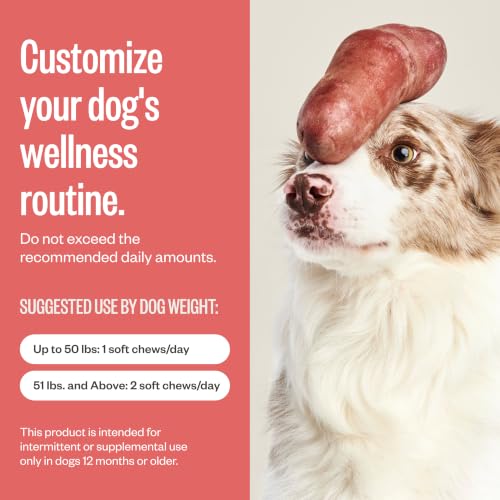 Chill Pills Calming Supplement Chews
