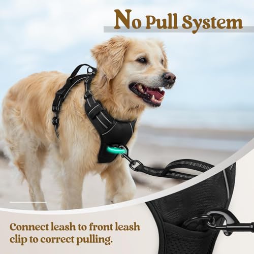 Dog Harness No Pull for Small Dogs with 2 Leash Clips (Small / Black)