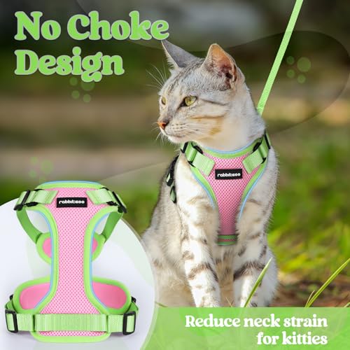 Cat Harness and Leash Set (Pink & Light Green / Xxs)