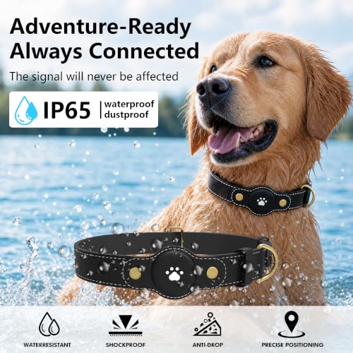 GPS Tracker for Dogs (Black / L(12.5''-21''))