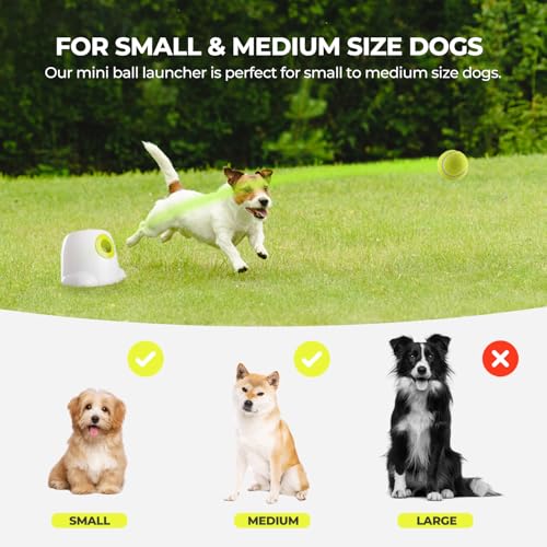 AFP Automatic Ball Launcher Dog Ball Thrower Machine Interactive Hyper Fetching Toy for Large Dogs (Mini Size-Tennis Balls)