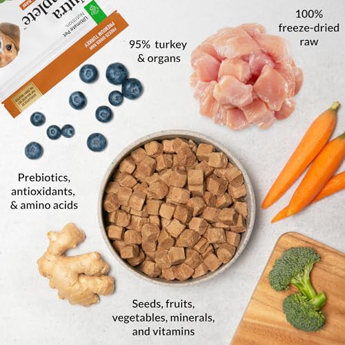 Nutra Complete Freeze (1 Pound (Pack of 1))