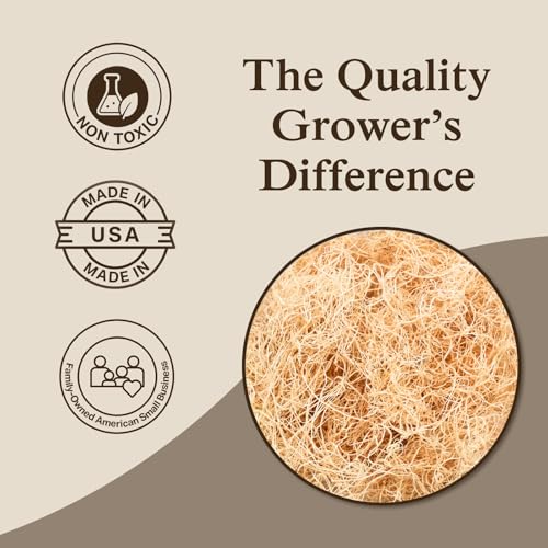 Aspen Wood Excelsior (Fine Cut / Medium 1-pack)
