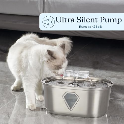 Cat Water Fountain (Stainless Steel and PC)