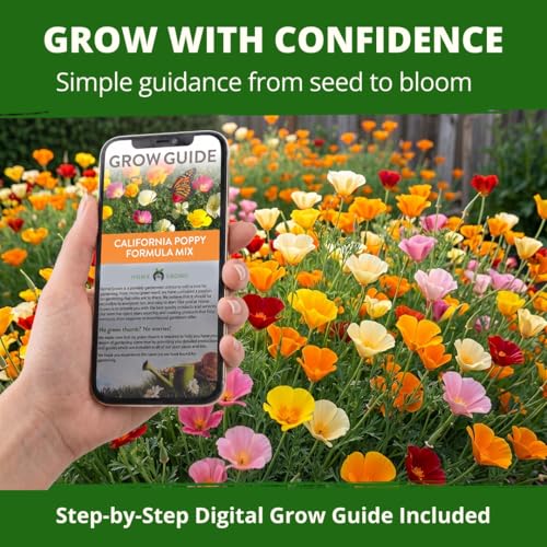 California Poppy Formula Mix 3000 Seeds Eschscholzia californica