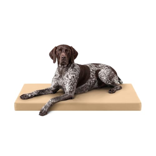 Tough Ripstop Orthopedic Crate Bed (Large (41" L x27" W x 3" H) / Tan)