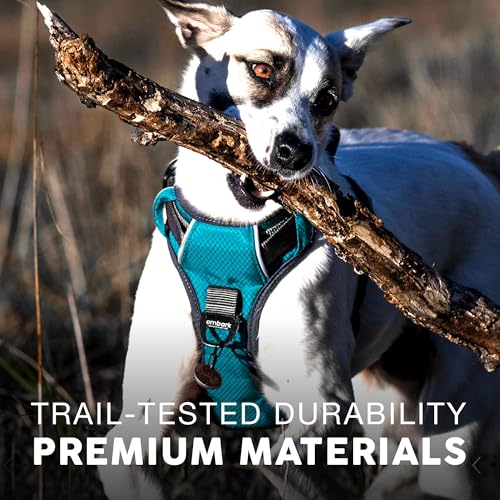 Embark No Pull Dog Harness (L / Blue)