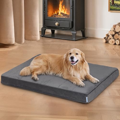 Dog Bed for Large Dog (Dark / 41"L x 27"W x 3"H)