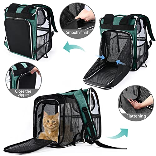Expandable Pet Carrier Backpack (Transparent Green / 20.0"L x 12.0"W x 15.5"H)