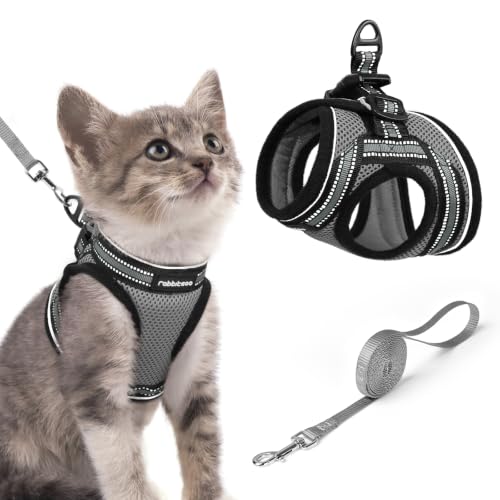 Cat Harness and Leash Set (S / Grey)