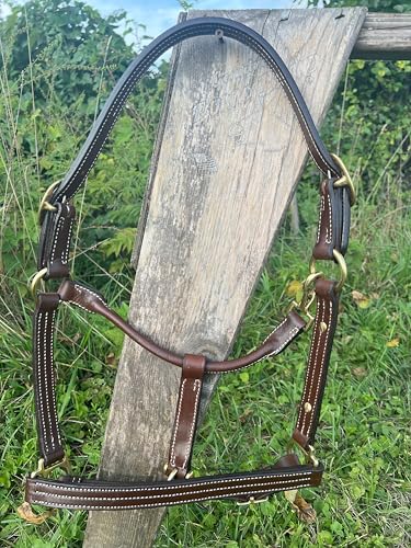 Leaders Leather Halter for Horses with Customized Engraved Name Plate Option Halter for Horse (Pony Size)