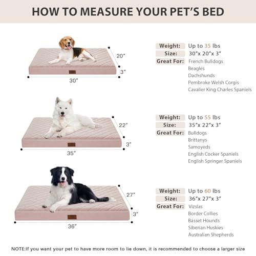 Orthopedic Waterproof Dog Bed Medium for Comfy Sleeping (Pink / 30"L x 20"W x 3"Th)