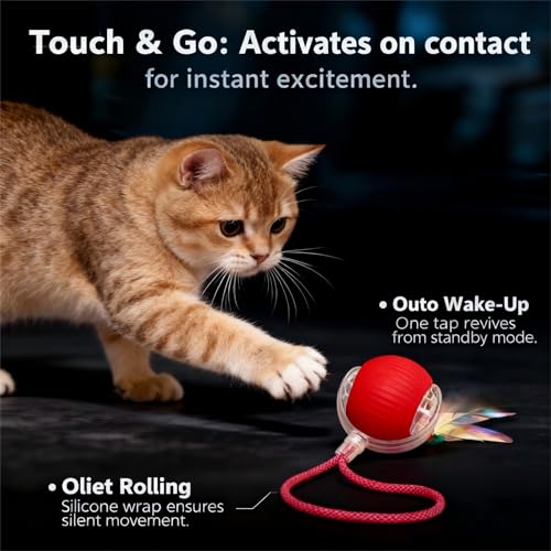 Automatic Cat Toy Ball for Indoor Cats (Red)