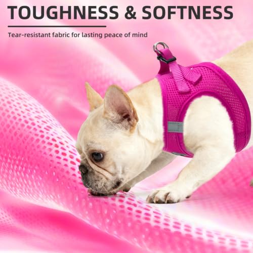 Dog Harness Collar and Leash Set No Pull for Small Medium Sized (Solid DeepPink / XS (CHEST 13"-14.5"))