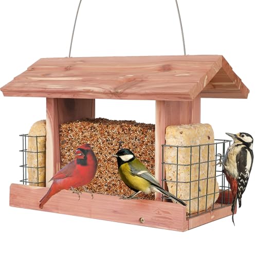 Solution4Patio Squirrel (Rectangle)
