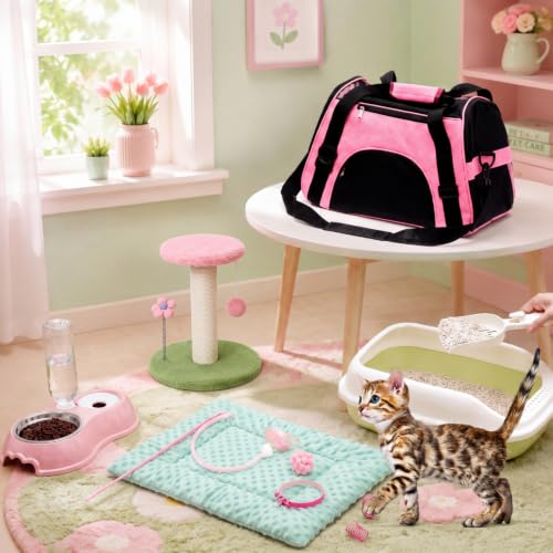 10 Pcs Kitten Starter Kit for Indoor (Classic / Medium / Pink Green)