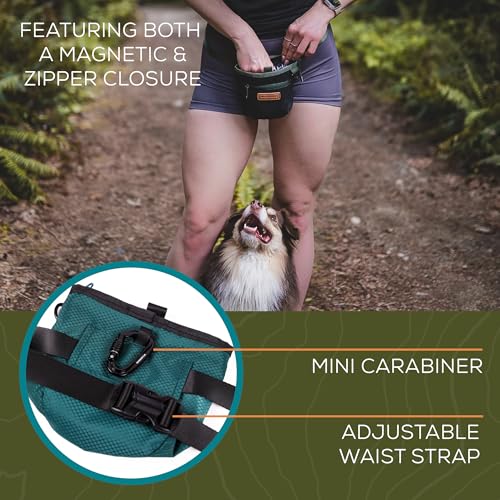 Dog Training Treat Pouch with Magnetic and Zipper Closure (Black)
