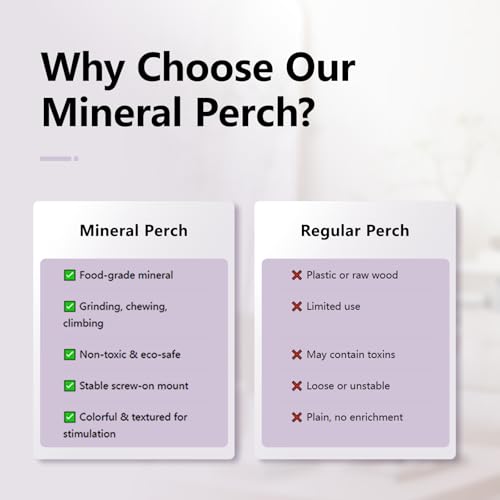 Mineral Bird Perch (Gradient Purple / 4.7")