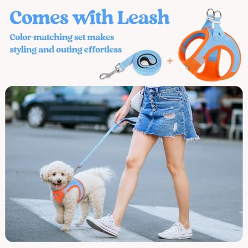 Dog Harness Small Sized and Leash Set (Blue & Orange / S (chest: 15.1 - 16.5"))