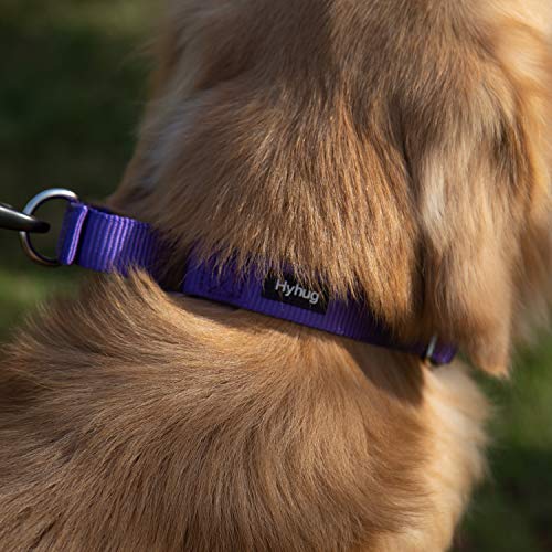Martingale Dog Collars for Medium Dogs (Medium / Ultra violet)