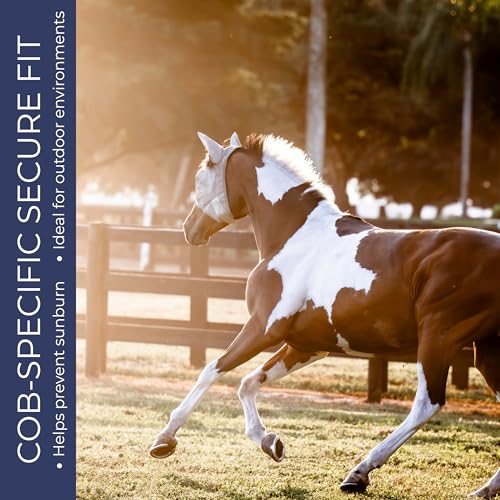 Cob Fly Mask with Ears