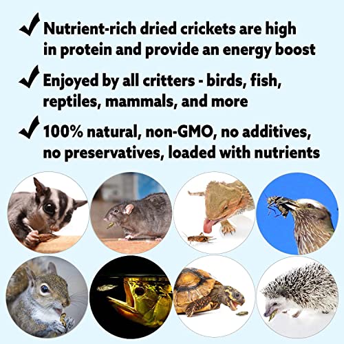 1 2 Pound Dried Crickets