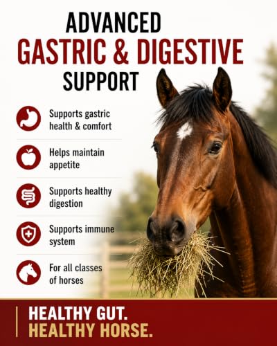 GI Renew Digestive Horse Supplement Powder (2 LBS)