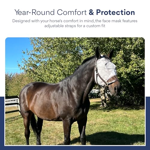 Warmblood Fly Mask Without Ears